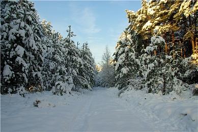 《博德之门3》去年Steam营收超6.5亿美元