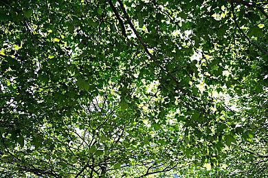 《博德之门3》在XSS主机分屏困难 或将有所妥协